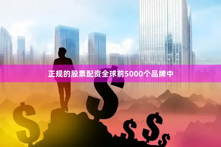 正规的股票配资全球前5000个品牌中