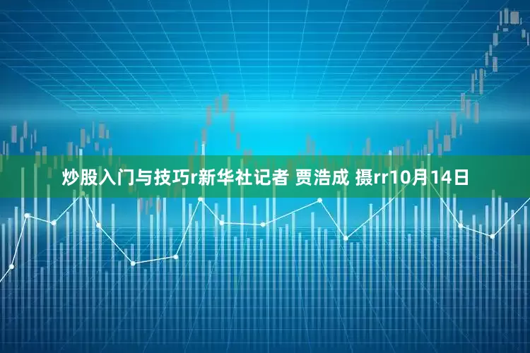 炒股入门与技巧r新华社记者 贾浩成 摄rr10月14日