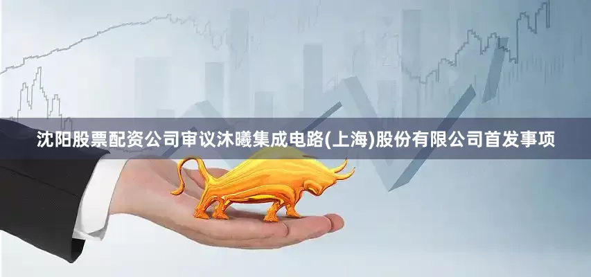 沈阳股票配资公司审议沐曦集成电路(上海)股份有限公司首发事项