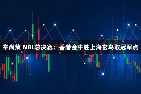 掌尚策 NBL总决赛：香港金牛胜上海玄鸟取冠军点
